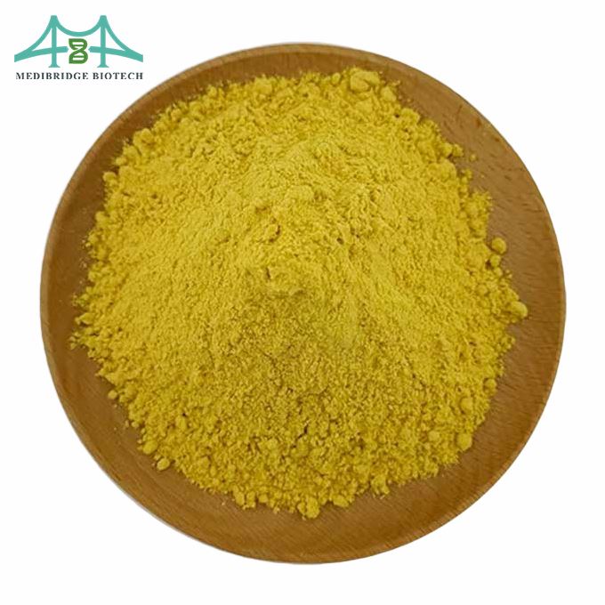 Extract Powder Camptothecin