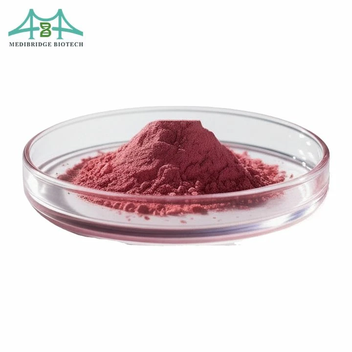 NNMTi Powder